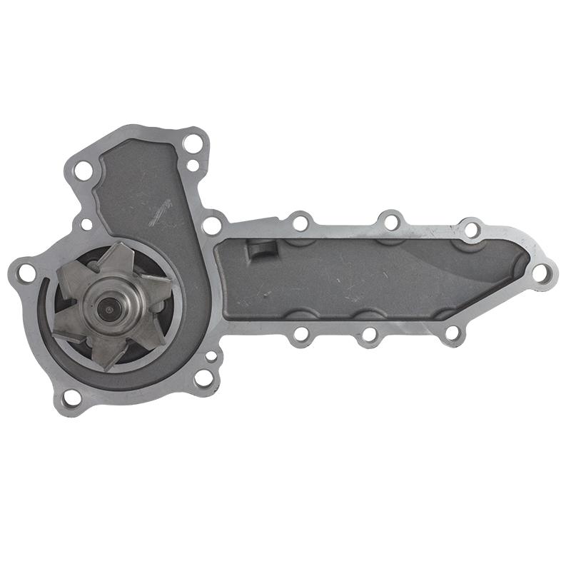 25-15568-00SV Pump Assy HE19