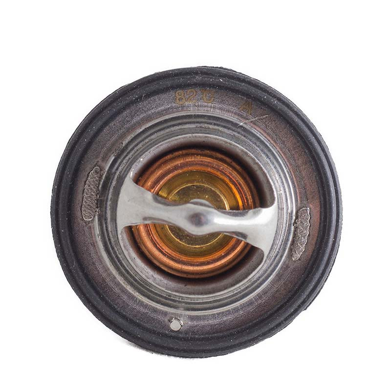 25-37559-01 Thermostat