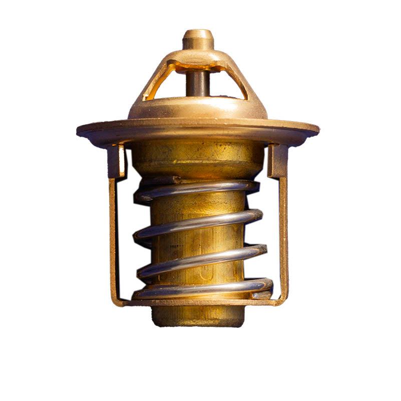 25-15003-00 Thermostat 76.5C 38mm