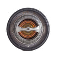 25-39236-01 Thermostat